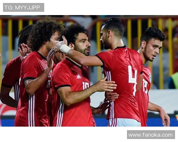 2019年埃及与津巴布韦足球对决回顾与分析