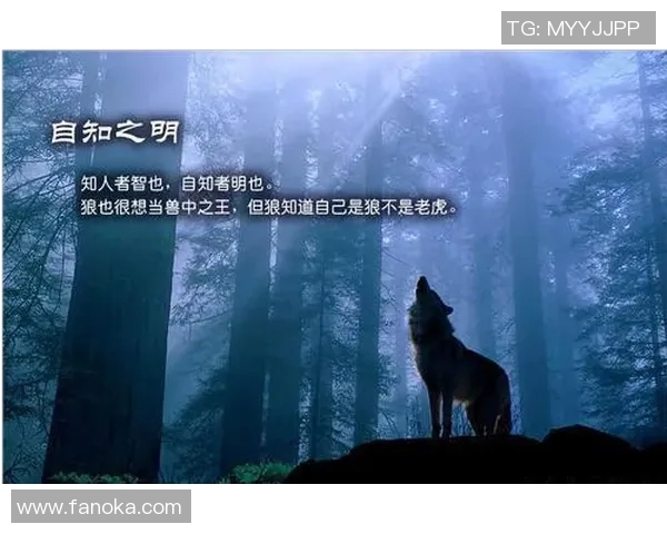 群狼环伺之际如何在危机中寻求生存与突破的智慧与勇气