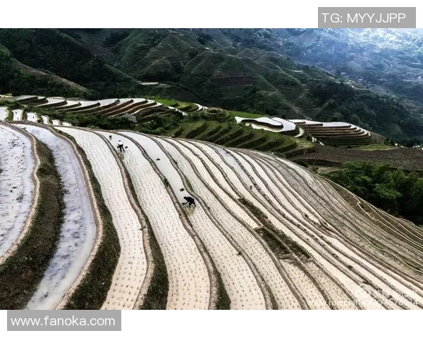 格列茨曼：从天才少年到足球巨星的辉煌历程与未来展望